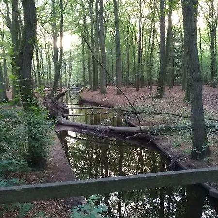 6 Personen Holiday home Nunspeet