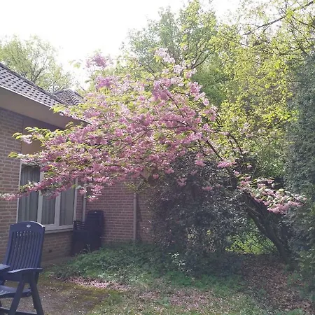 6 Personen Дом отдыха *