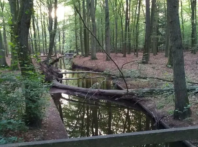 6 Personen Casa vacanze Nunspeet