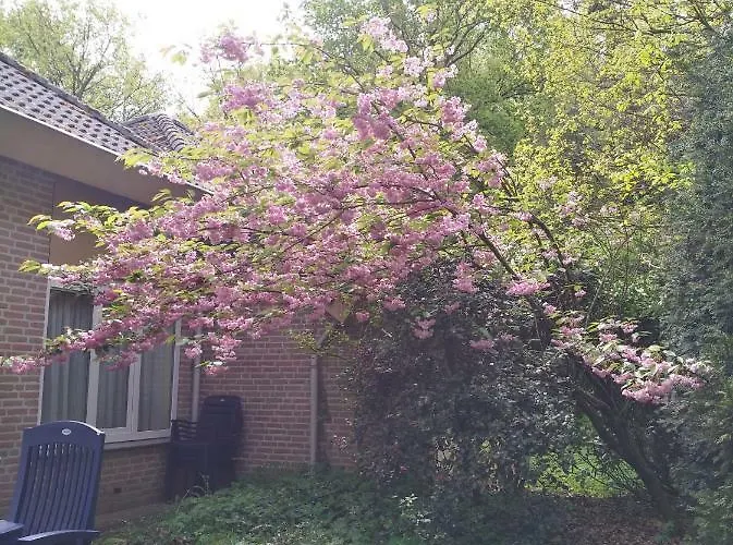 6 Personen בית נופש *